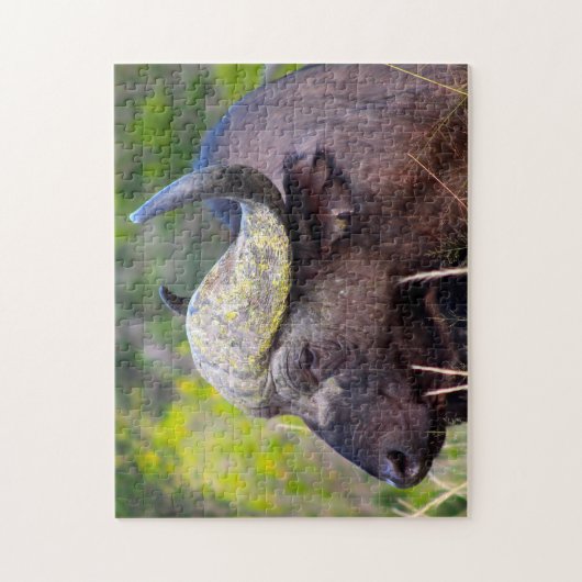 Waterbuffel Legpuzzel (Verticaal)