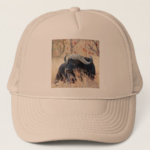 waterbuffel trucker pet