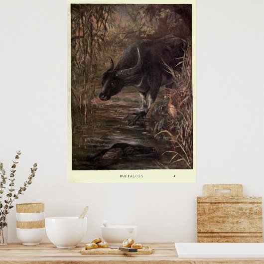  waterbuffelverf (1909) poster (Keuken)