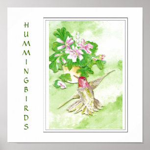 Watercolor Anna's Hummingbird -Bird Print