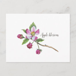 Watercolor Apple Blossom Botanical Briefkaart