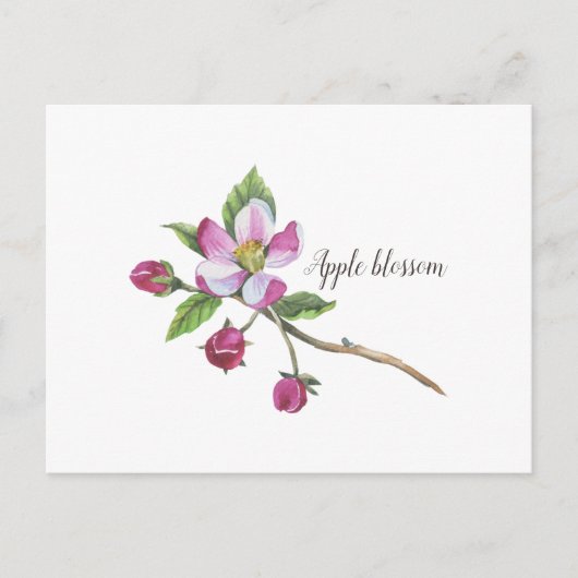 Watercolor Apple Blossom Botanical Briefkaart (Voorkant)