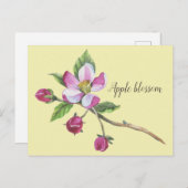 Watercolor Apple Blossom Botanical Briefkaart (Voorkant / Achterkant)