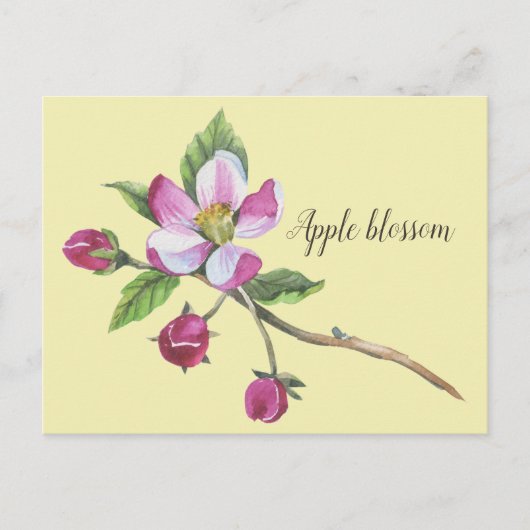 Watercolor Apple Blossom Botanical Briefkaart (Voorkant)