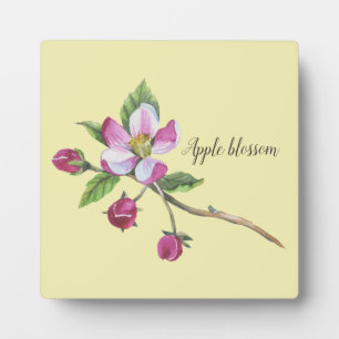 Watercolor Apple Blossom Botanical Fotoplaat