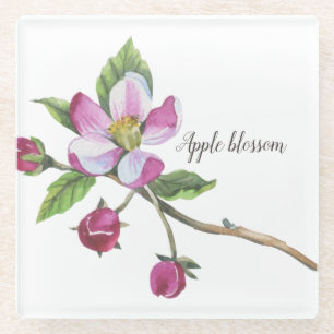 Watercolor Apple Blossom Botanical Glazen Onderzetter