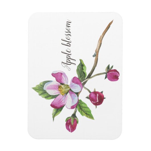 Watercolor Apple Blossom Botanical Magneet (Verticaal)
