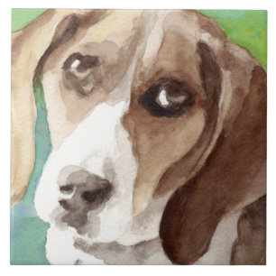watercolor Beagle-portret Tegeltje