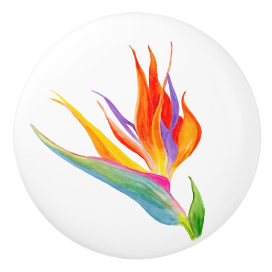 Watercolor Bird of Paradise Keramische Knop (Voorkant)
