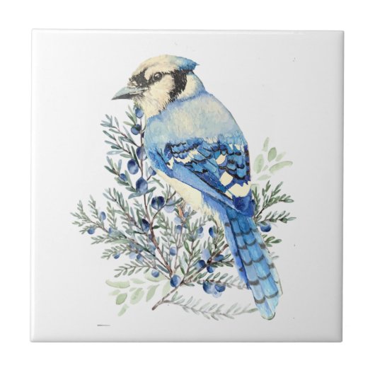 Watercolor Blue Jay Bird Blueberries Country Art Tegeltje (Voorkant)