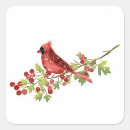 Watercolor Cardinal Bird on Berry Branch  Vierkante Sticker