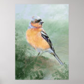 Watercolor Chaffinch Bird Nature Art Poster (Voorkant)