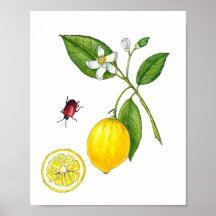 Watercolor citroen fruit botanische Poster