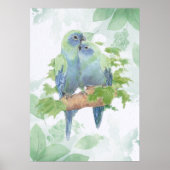 Watercolor Cuddling Parrot Bird Couple Tropical Poster (Voorkant)