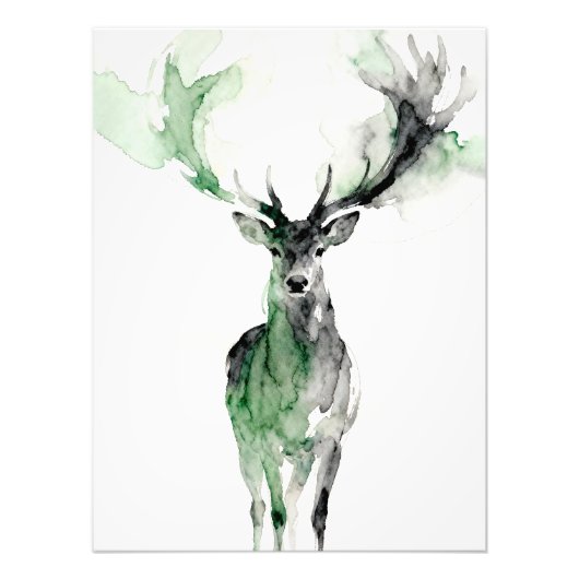 Watercolor Deer with Antlers Foto Afdruk (Voorkant)
