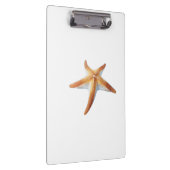 Watercolor Drawing of Starfish Klembord (Rechts)