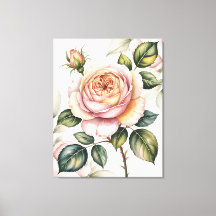 Watercolor Engelse roos