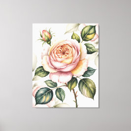 Watercolor Engelse roos Canvas Afdruk