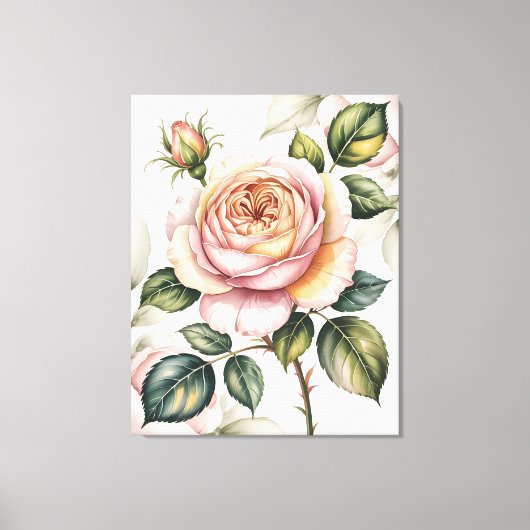 Watercolor Engelse roos Canvas Afdruk (Voorkant)