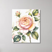 Watercolor Engelse roos