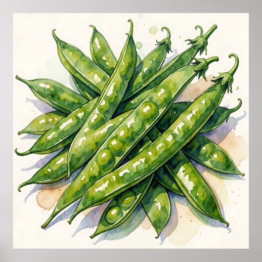 Watercolor Erwtenpeulen Poster (Voorkant)