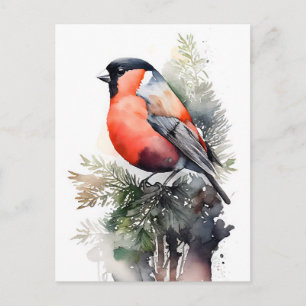 Watercolor Goudvink op een dennenboomtak in het bo Briefkaart
