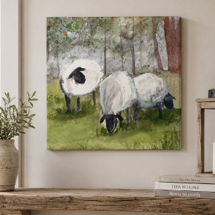 Watercolor Grazing Schapen Canvas Afdruk