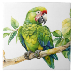 Watercolor groene papegaai op een tak tegeltje