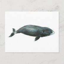 Watercolor illustratie van Groenlandse walvis