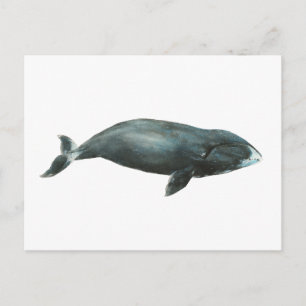 Watercolor illustratie van Groenlandse walvis Briefkaart