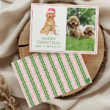 Watercolor Kerstman Hond Foto