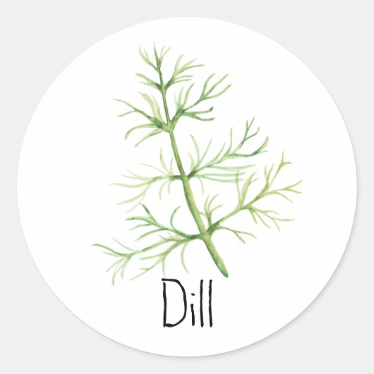 Watercolor Kruid Dill Ronde Sticker (Voorkant)