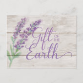 Watercolor Lavender Essential Oils Class Postcard Briefkaart (Voorkant)