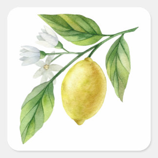 Watercolor Lemon Pattern Poster Vierkante Sticker