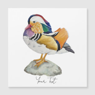 Watercolor Mandarijneend