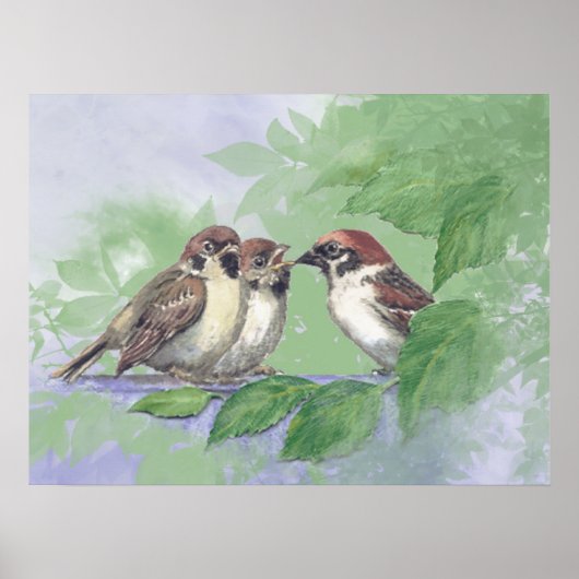 Watercolor Mother Sparrow Feeding Chicks Poster (Voorkant)