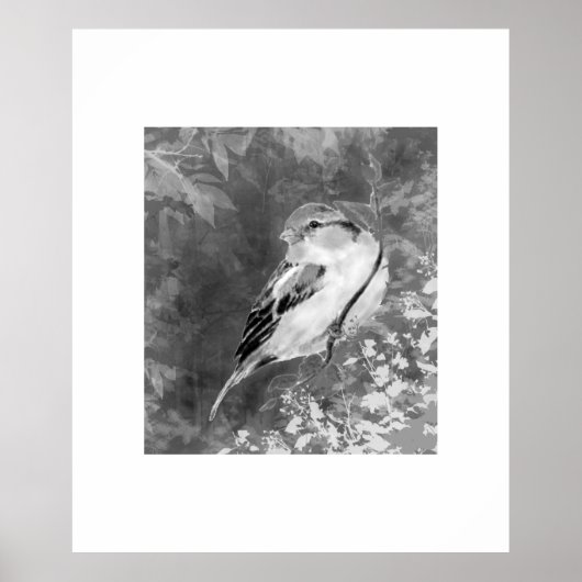 Watercolor Musvogel in Bos Poster (Voorkant)