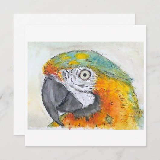 Watercolor of Parrot on Flat Card (Voorkant / Achterkant)