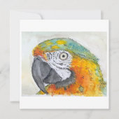 Watercolor of Parrot on Flat Card (Voorkant)
