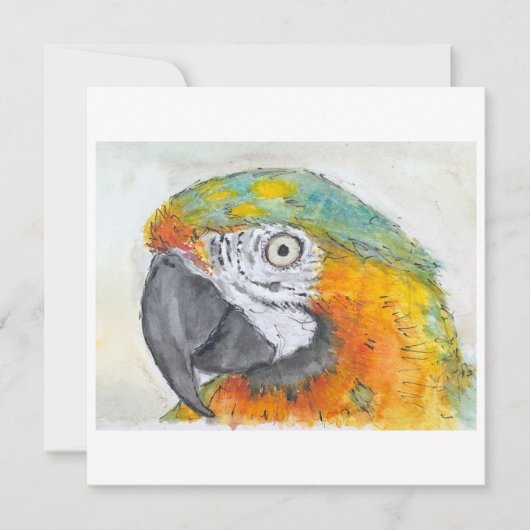 Watercolor of Parrot on Flat Card (Voorkant)