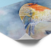 Watercolor Painting Robin bird Poster (Hoek)