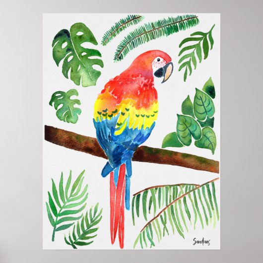 Watercolor Parrot Poster (Voorkant)