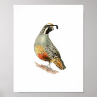 Watercolor Patrijshond Schilderij