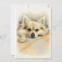 Watercolor Pomeranian Chihuahua Hond Portret