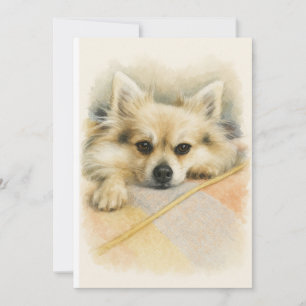 Watercolor Pomeranian Chihuahua Hond Portret Bedankkaart