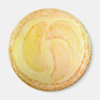 Watercolor Realistische Perzik Fruit Taart Magneet