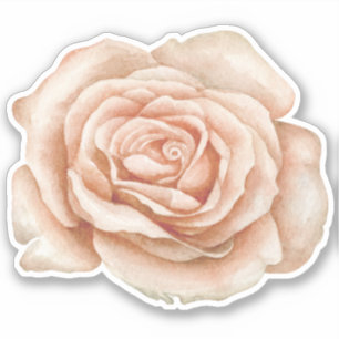 Watercolor Roos Bloem Sticker