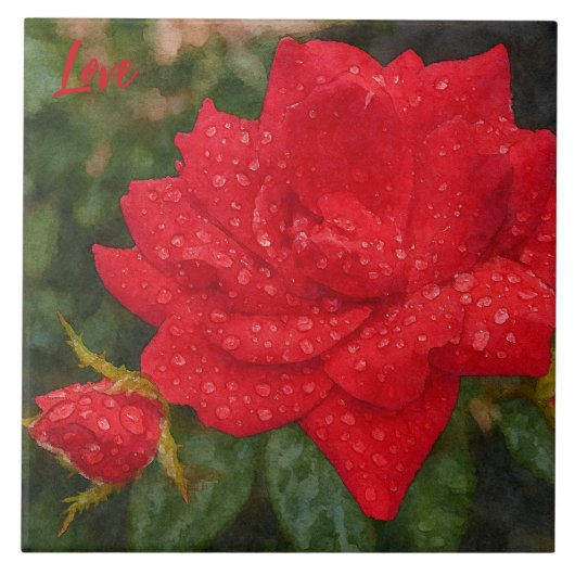 Watercolor Rose Tegeltje (Voorkant)