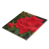Watercolor Rose Tegeltje (Zijkant)