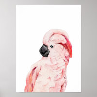 Watercolor Roze Molukse Kaketoe